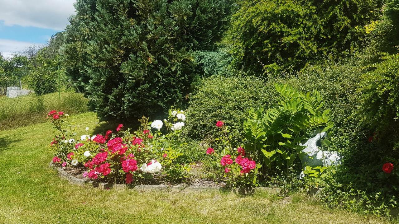 Apartman "Pod Rokem" Sušice Buitenkant foto