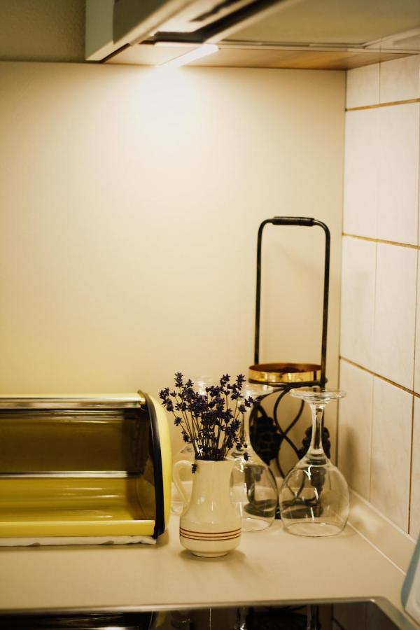 Apartman "Pod Rokem" Sušice Buitenkant foto
