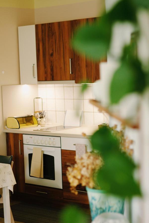 Apartman "Pod Rokem" Sušice Buitenkant foto